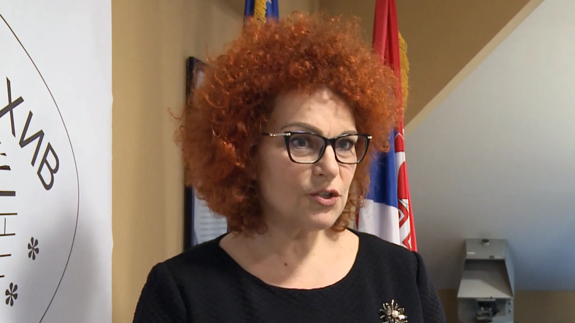Snežana Radović , direktorka Istorijskog arhiva Niš